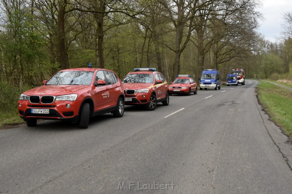 Waldbrand Wahner Heide Troisdorf Eisenweg P346.JPG - Miklos Laubert